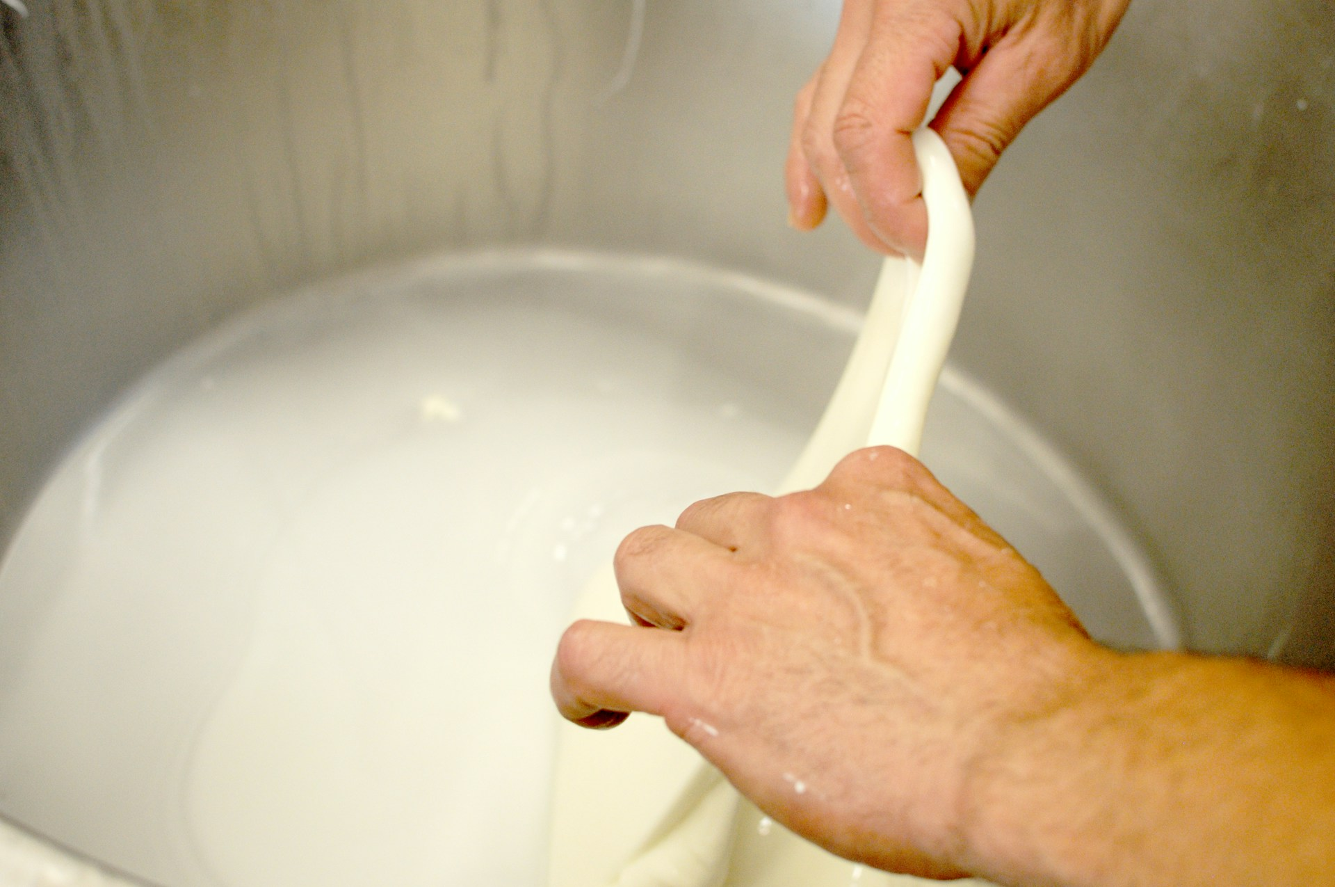 IFF maps dairy formulation across life stages