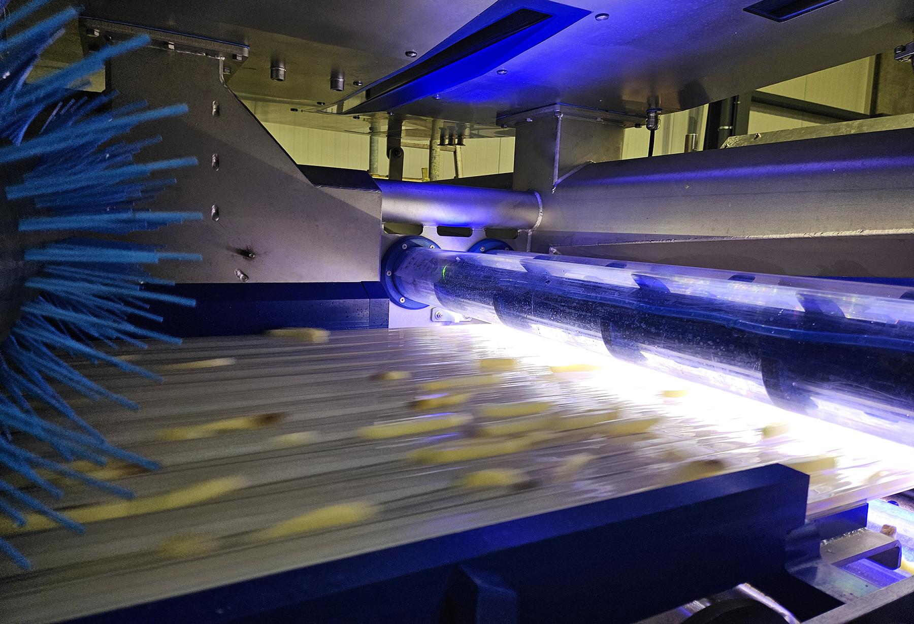 Key Technology launches ADR X for potato strips