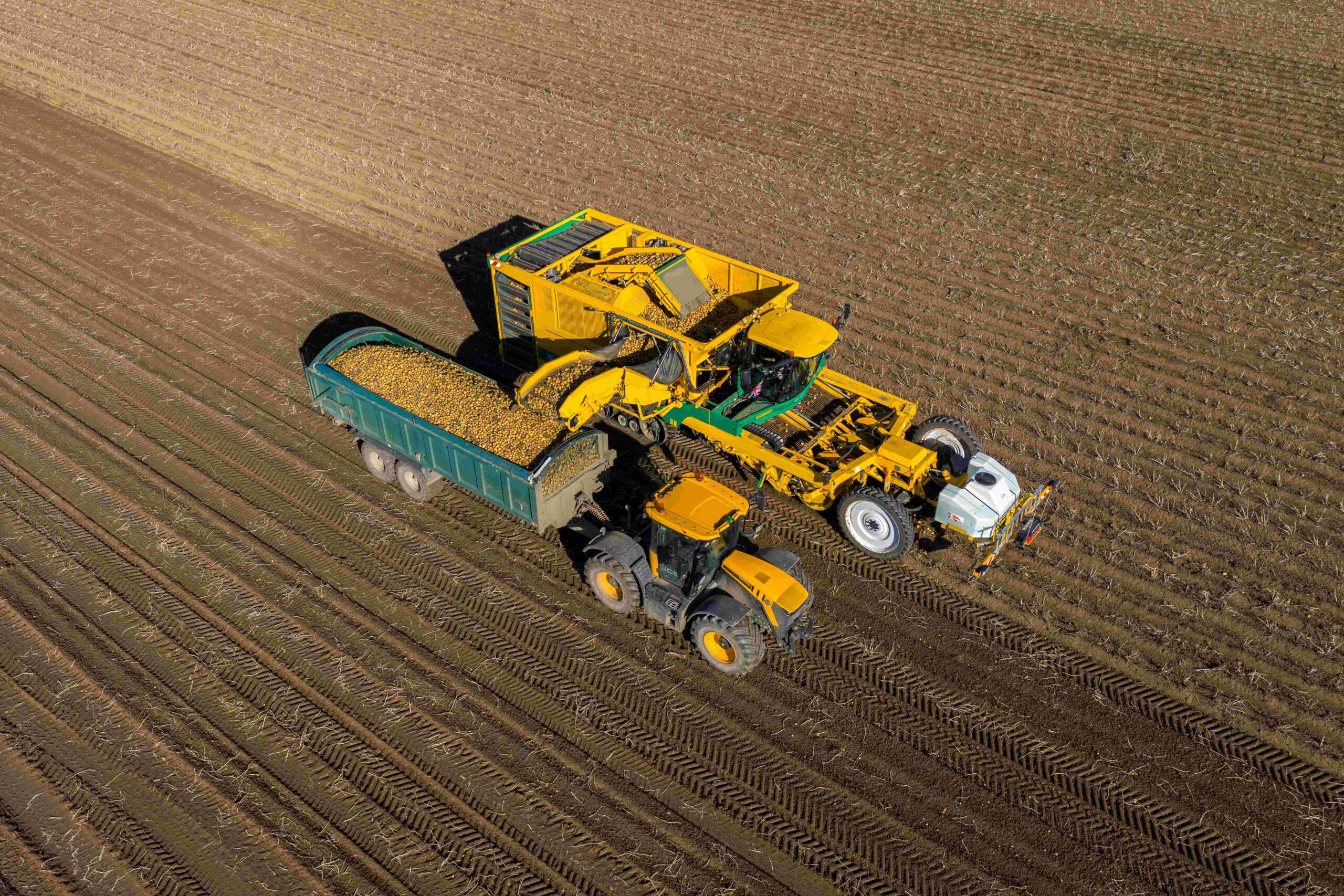 Tesco stocks potatoes from low-carbon concept farm