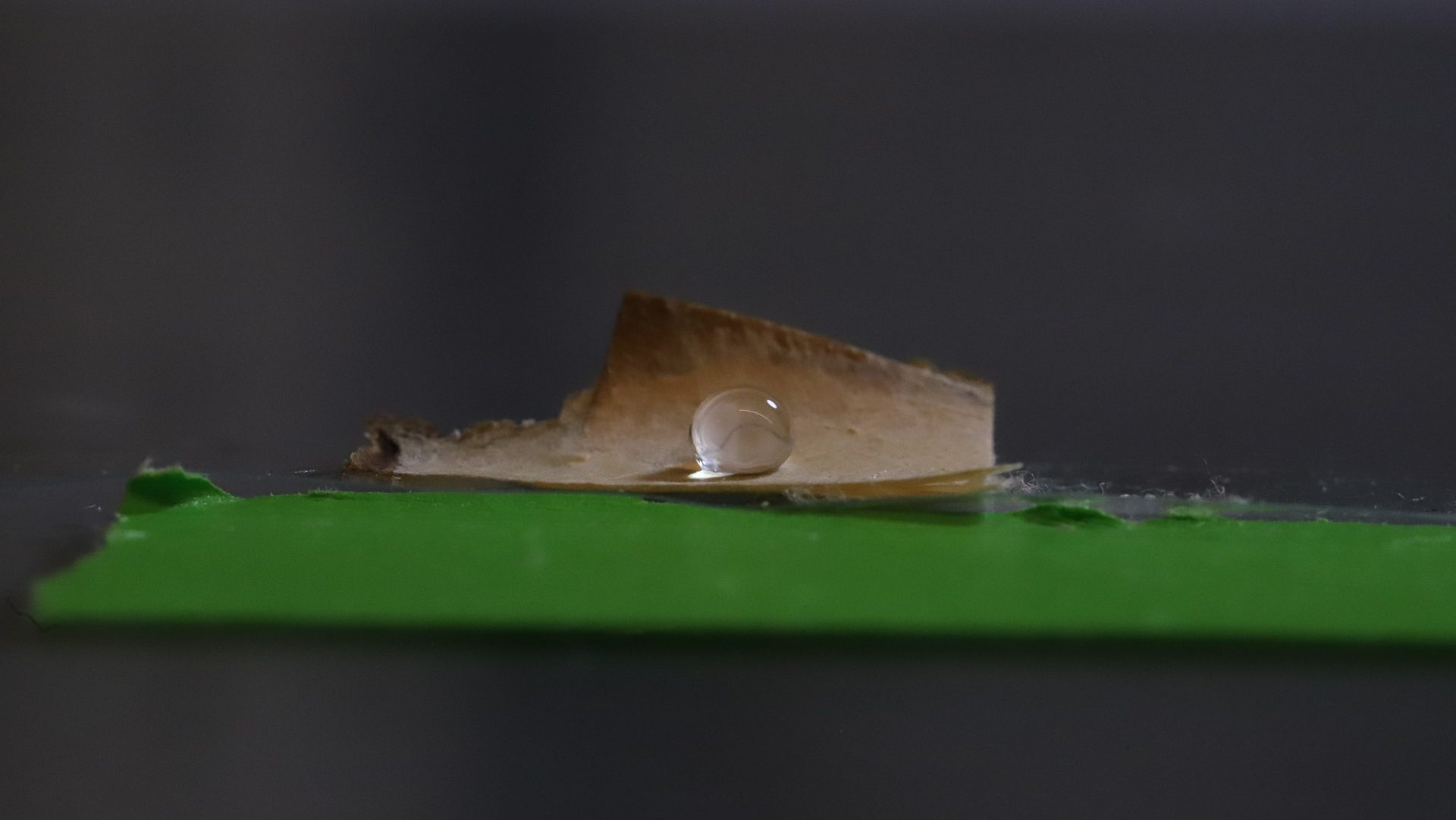 UMaine develops mycelium coating for plastic-free packs