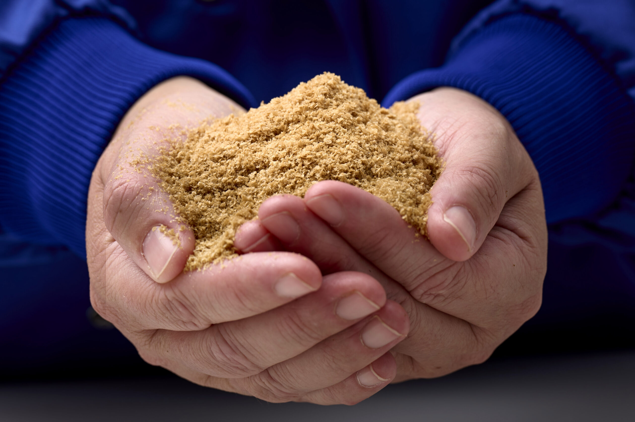 MiAlgae enters Butternut Box vegetarian meal rollout