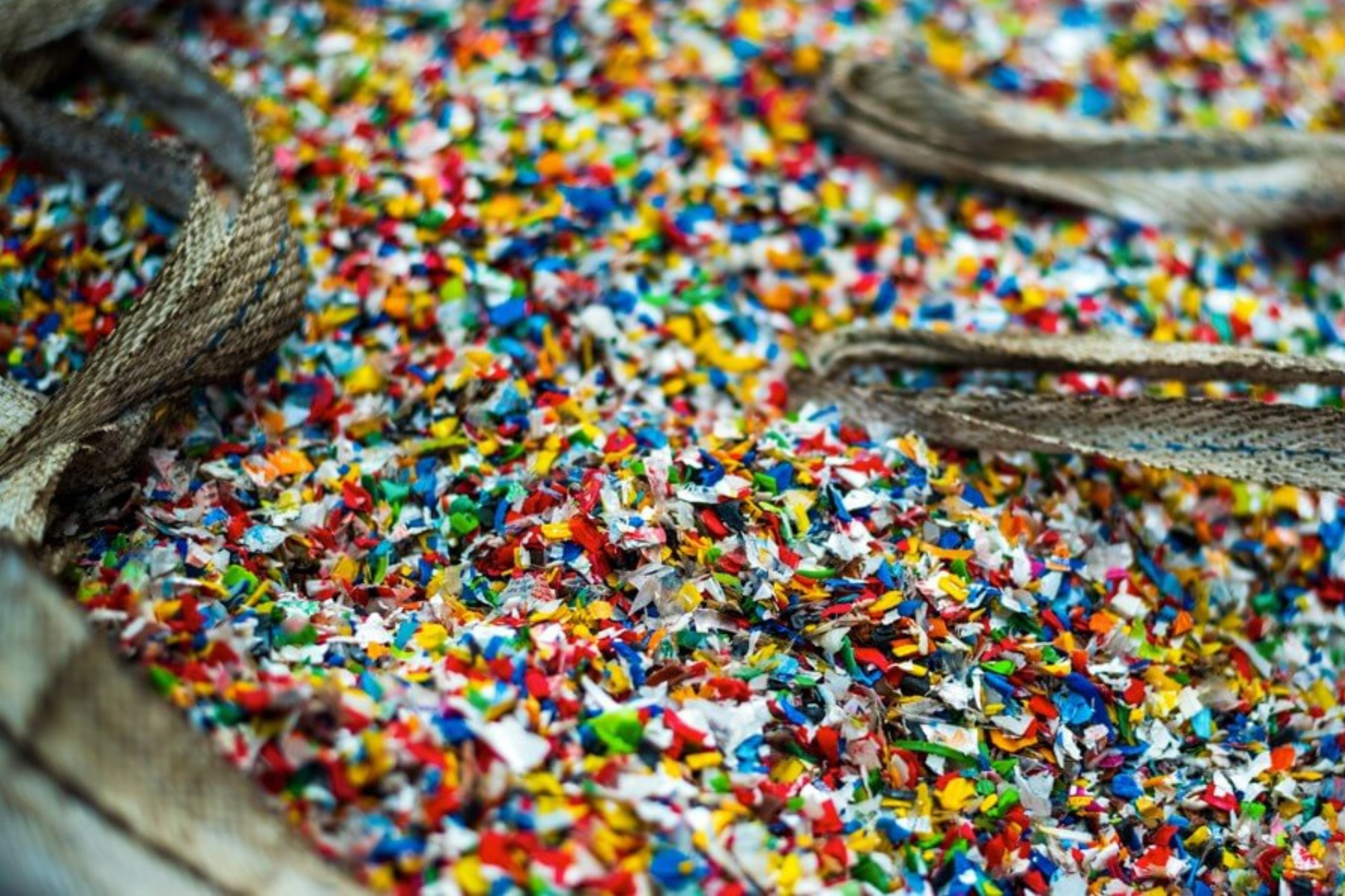 Derby study flags liver effects from packaging microplastics