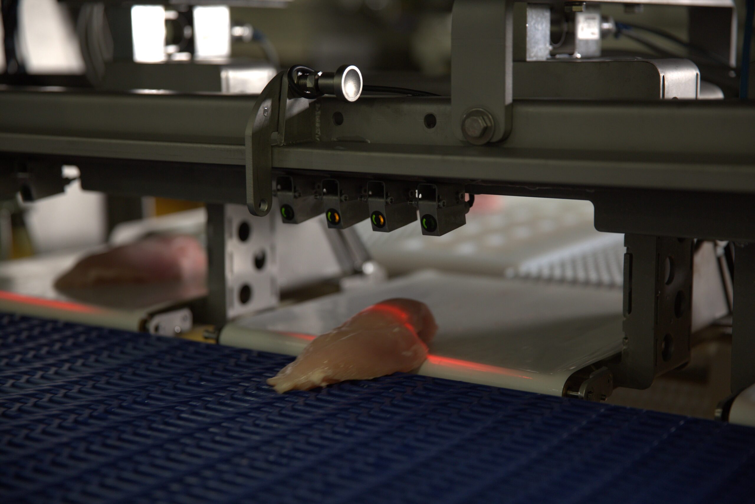 Ishida lines up poultry inspection and automation at VIV Europe