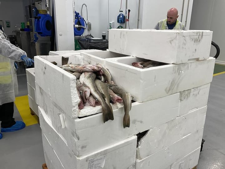 Ashford border checks stop unsafe imports Ashford border checks stop unsafe imports