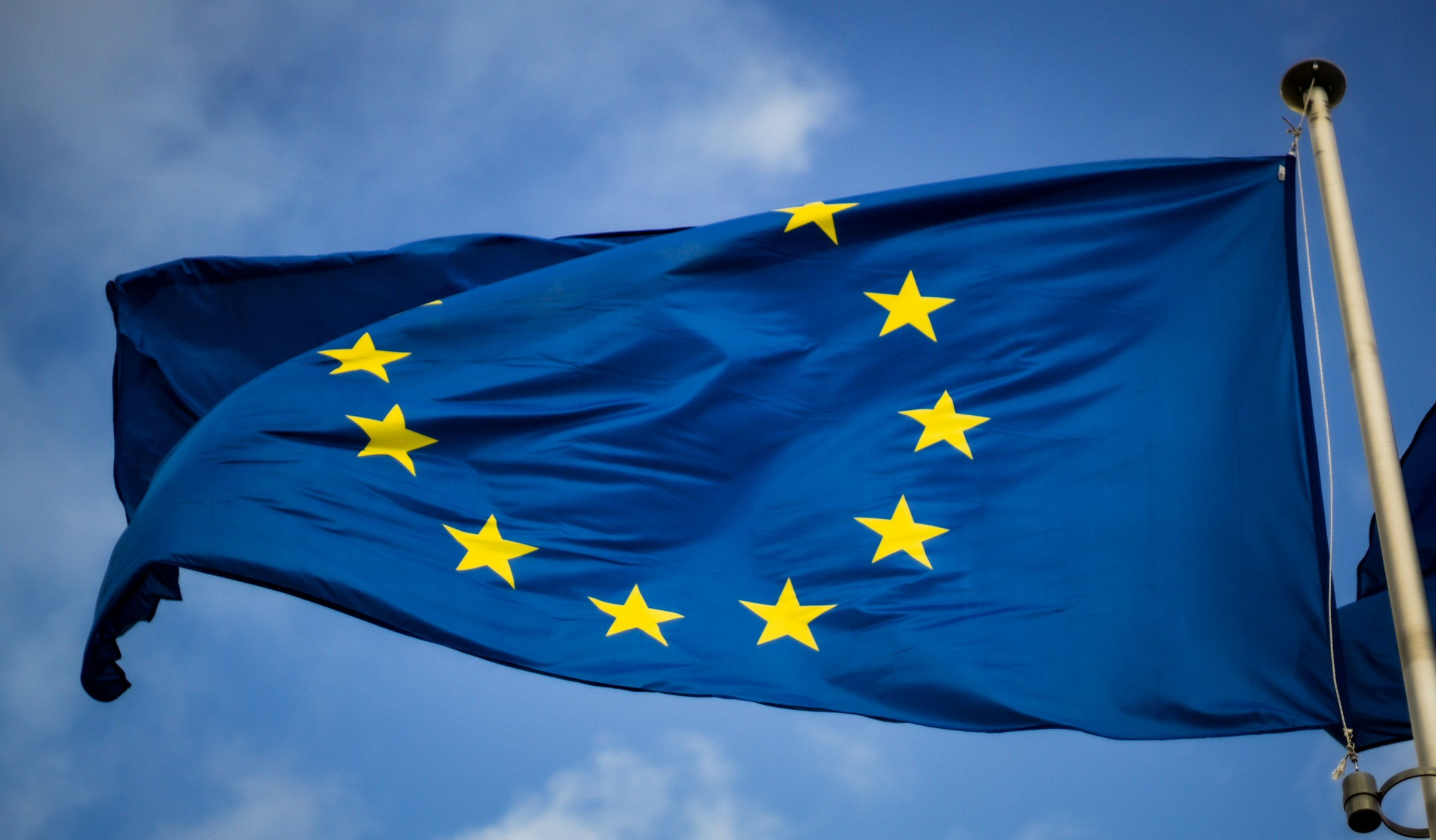 Supply-chain coalition forms ahead of EUDR review