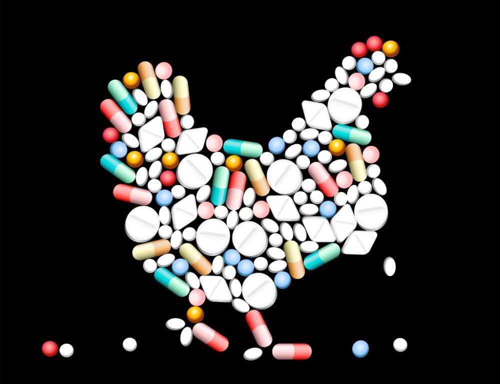 Quadram study questions AMR farming link