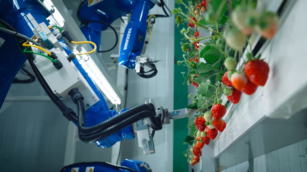 Oishii raises 0m for smart farming scale-up