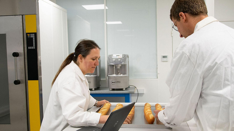 KPM baking lab links flour data