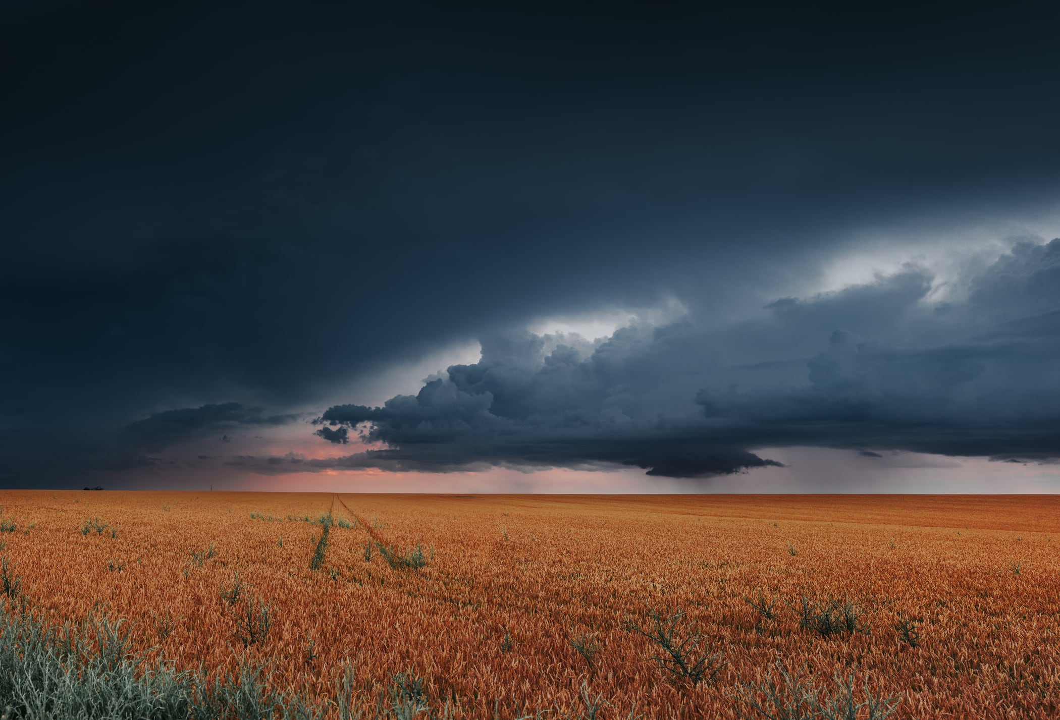 Regenerative agriculture targets face credibility test