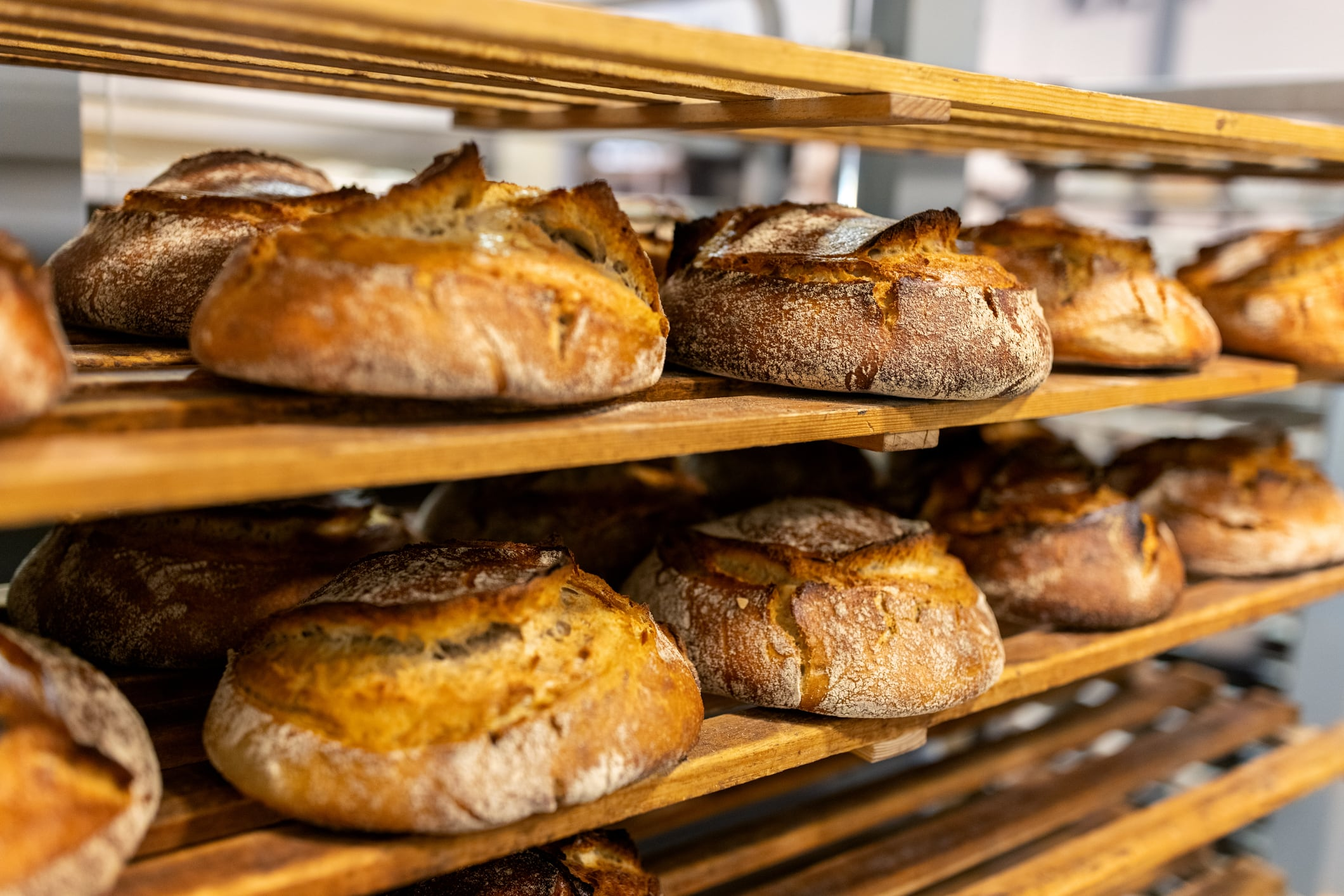 Boparan rescues Brace’s Bakery from administration