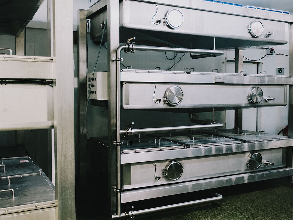 Momo scales kombucha fermentation in London