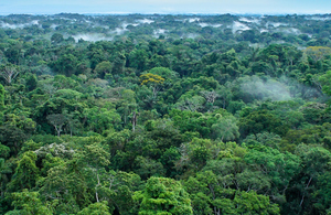 UK tightens food supply-chain deforestation rules