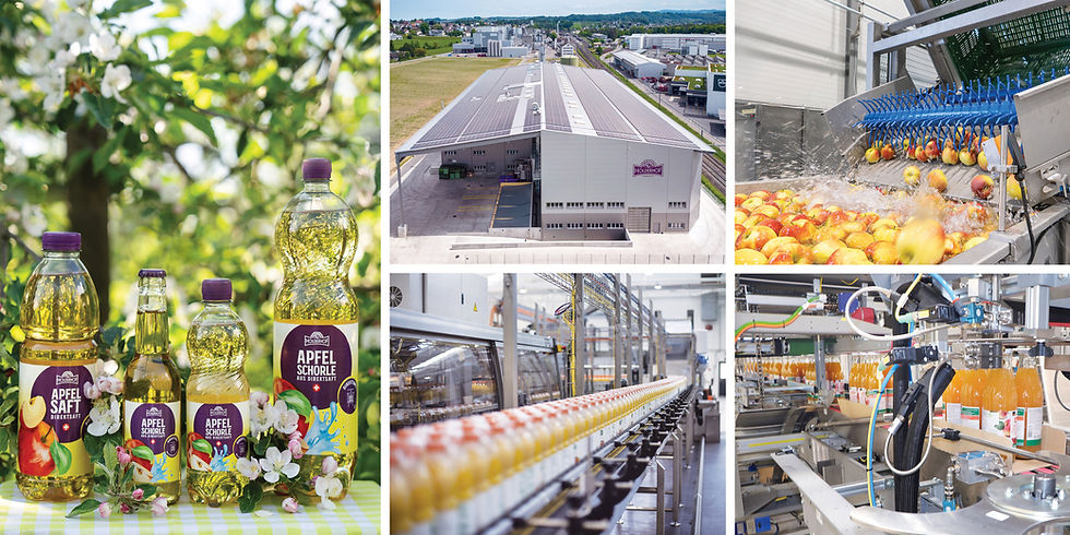 Holderhof adds fruit packaging automation