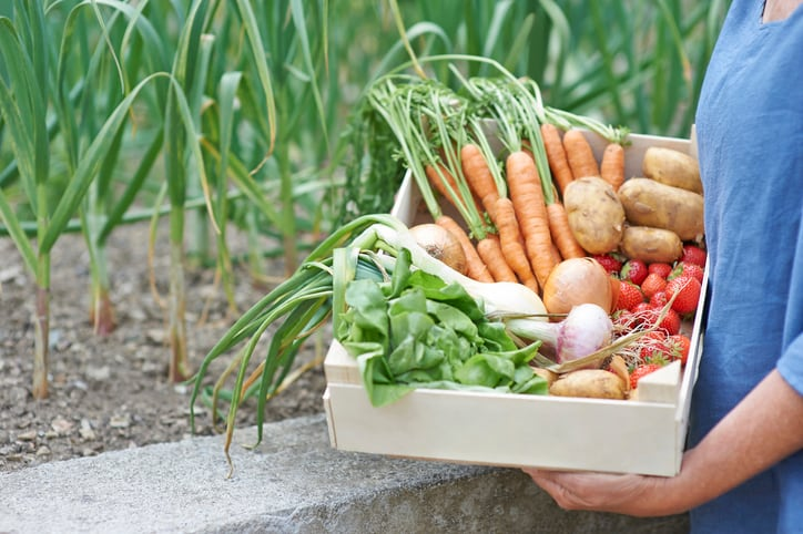 UK food bodies urge security plan