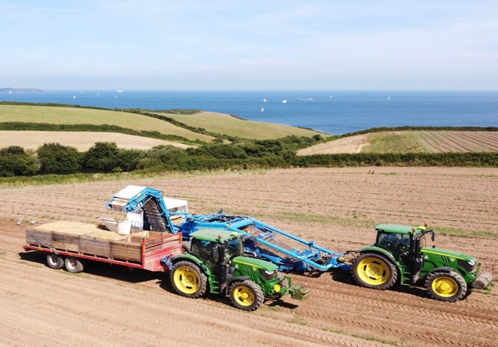 Pengelly Farms automates potato case packing