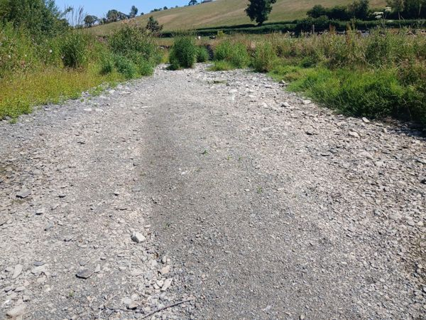 Drought declared across parts of Wales
