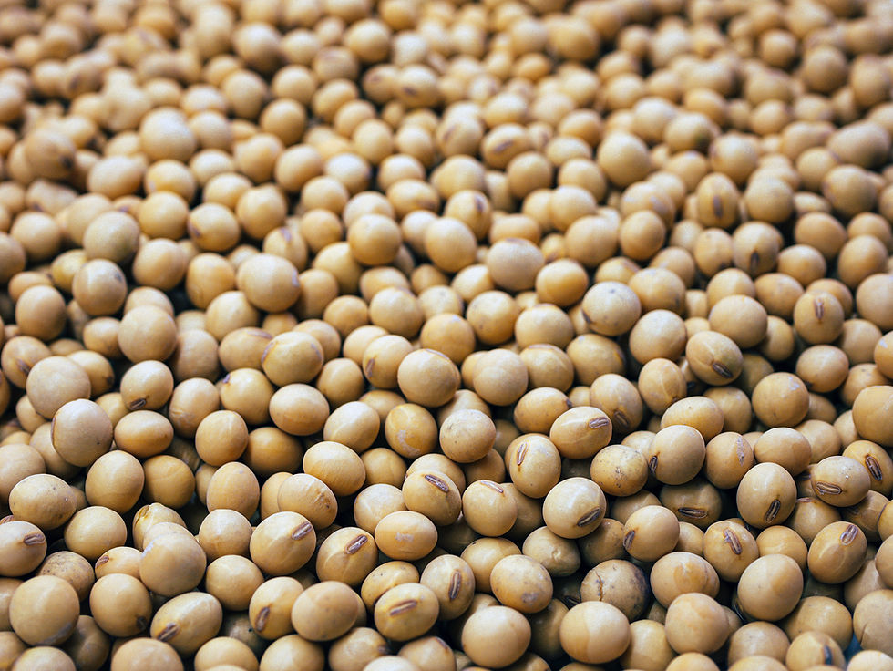 EU protein plan targets supply resilience EU protein plan targets supply resilience