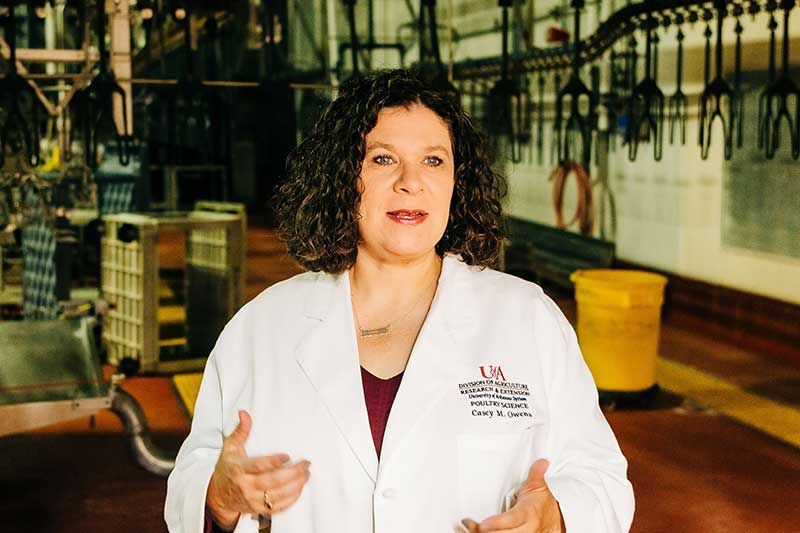 Electron beams target poultry pathogens without heat