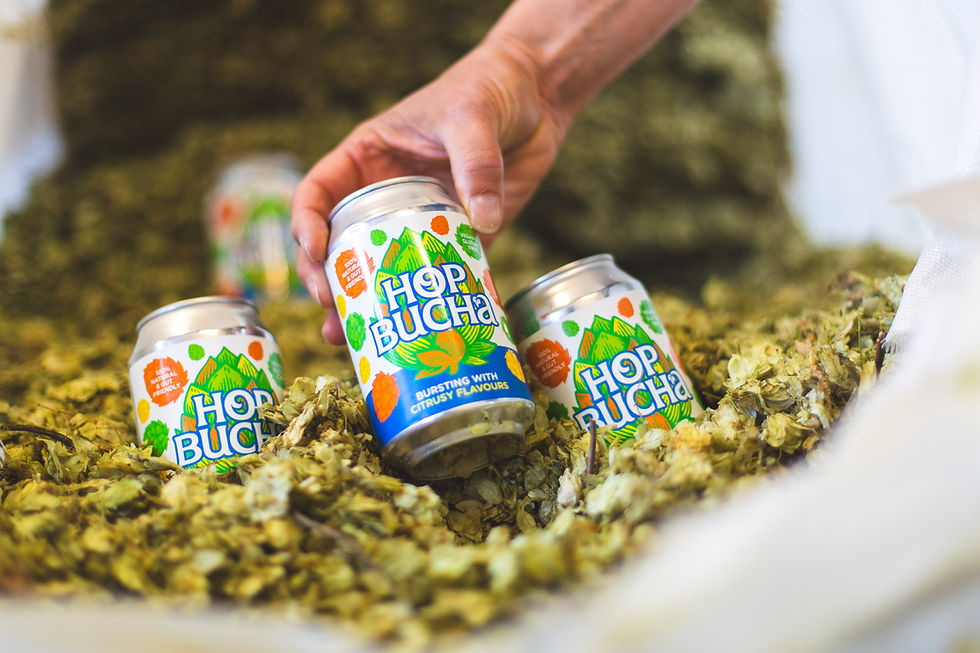Theakston and Equinox launch Hopbucha hybrid Theakston and Equinox launch Hopbucha hybrid