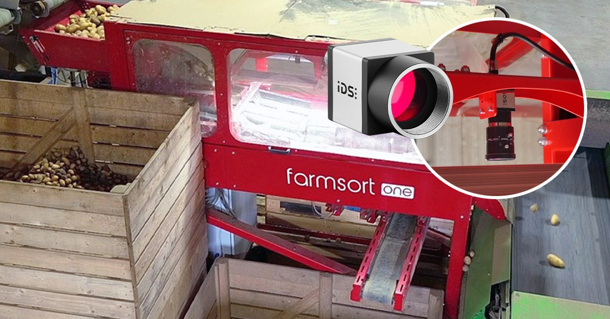 Multi-camera sorter targets five potato quality grades