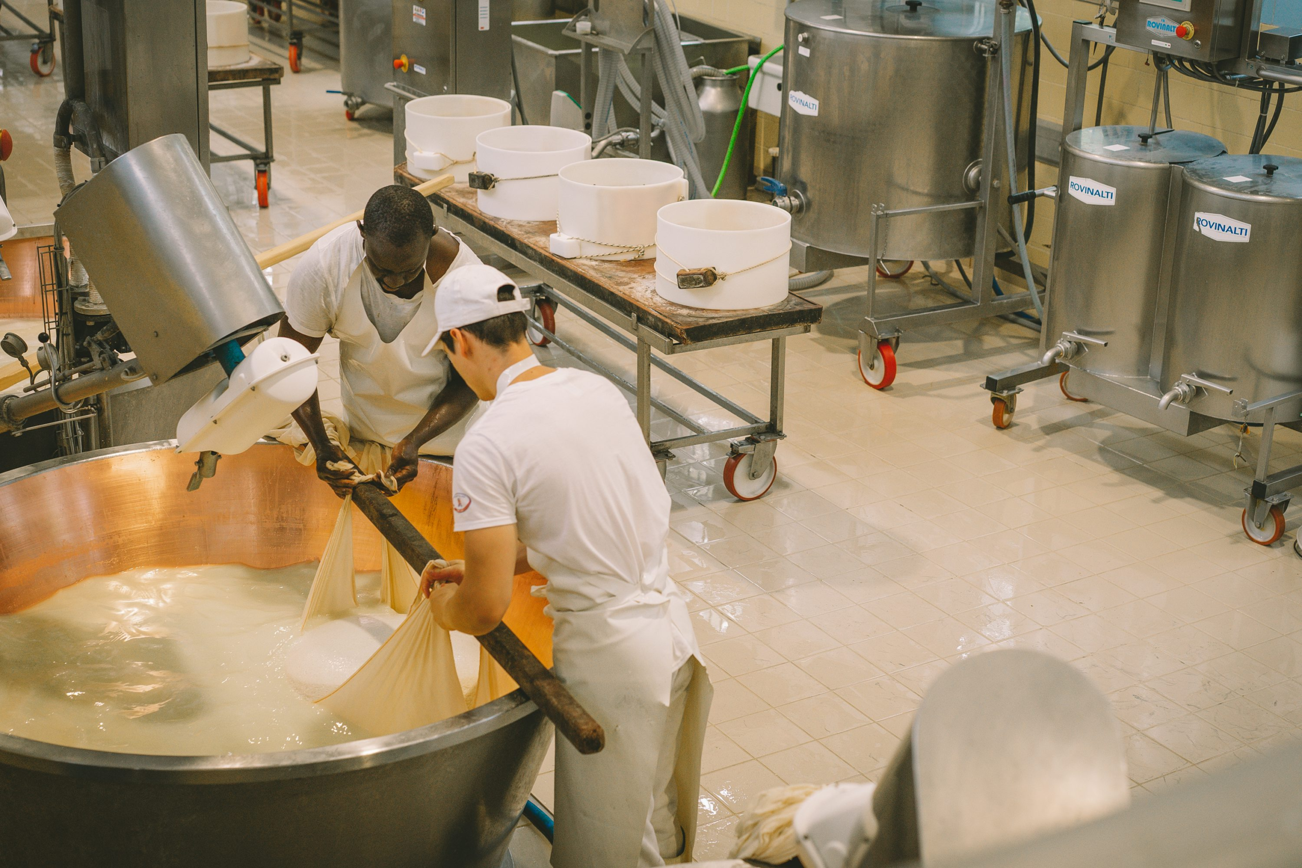 Cheese forecast points to sustained processing demand Cheese forecast points to sustained processing demand