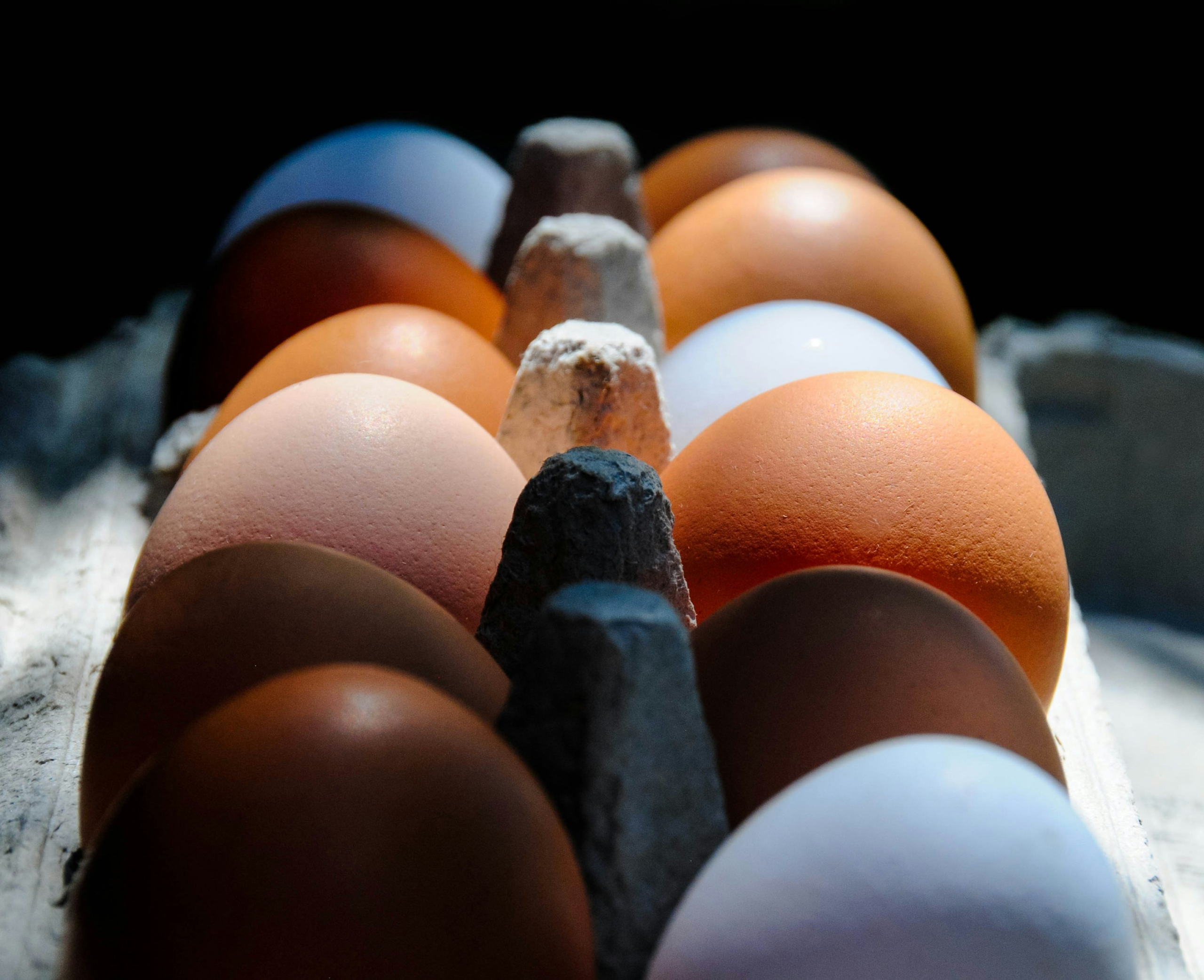 Salmonella egg investigation expands to three clusters Salmonella egg investigation expands to three clusters