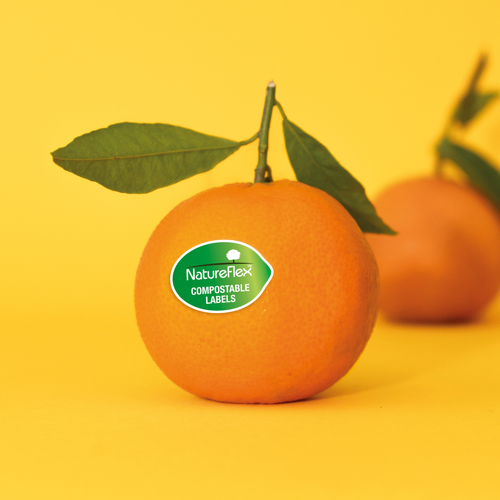 Futamura and Bio4life develop compostable produce label