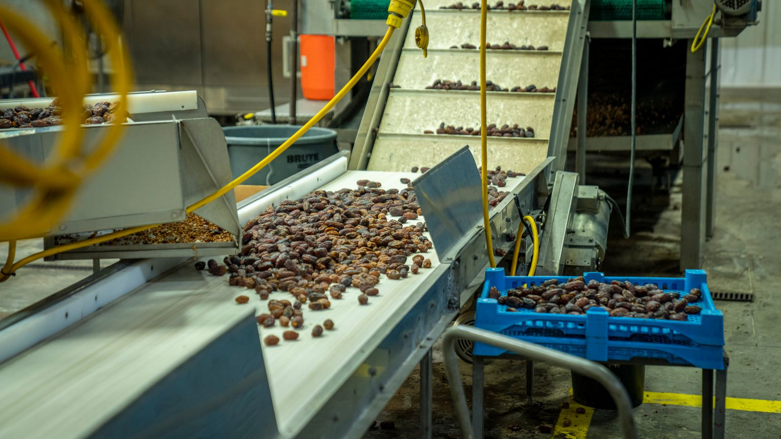 Food Nation 2040 moves strategy towards delivery