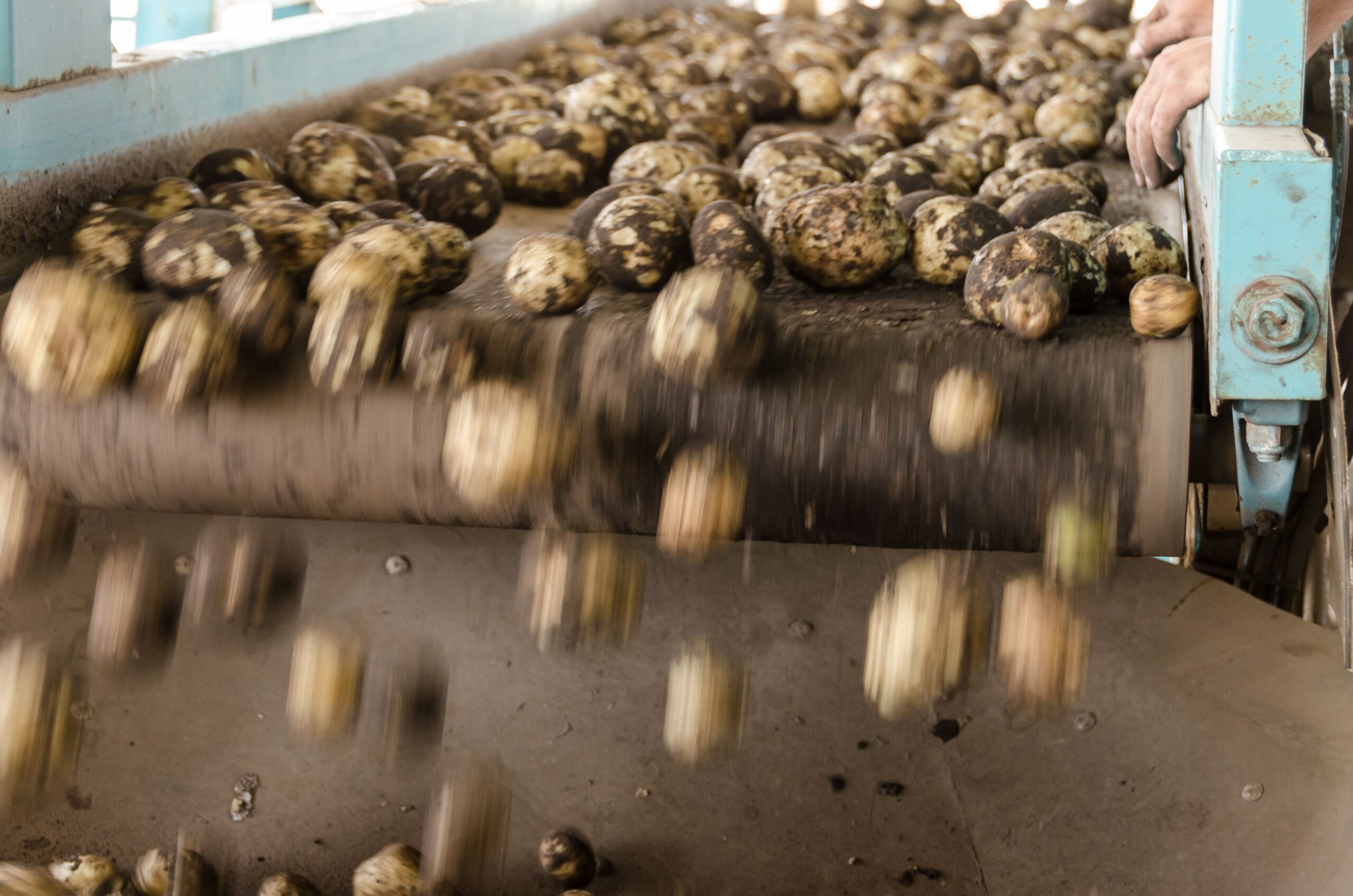 Glens of Antrim Potatoes enters administration