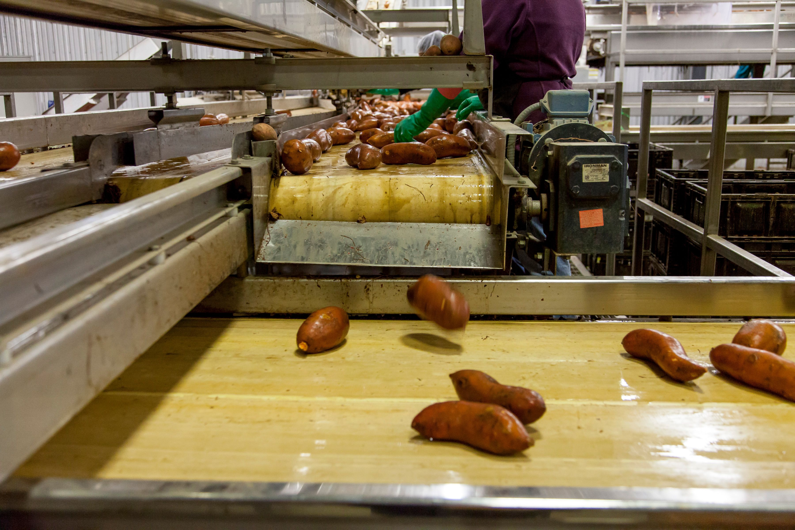 Second Harvest opens Toronto processing facility
