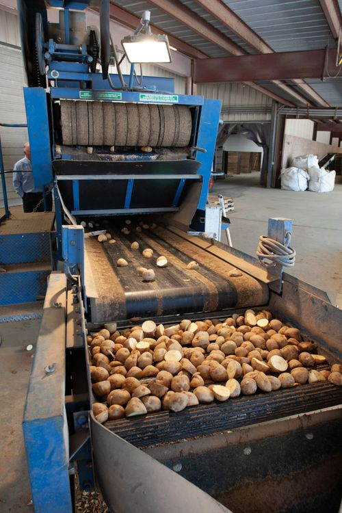 Chiltern backs Fylde Fresh management buyout Chiltern backs Fylde Fresh management buyout