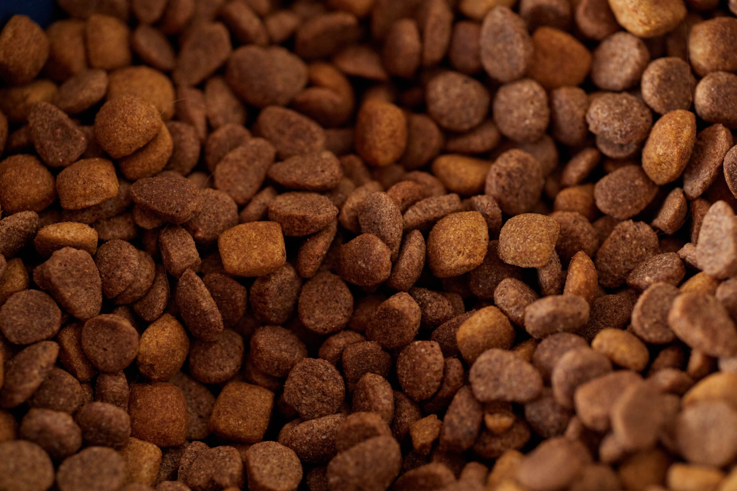 Purina directs €50m into Portogruaro factory upgrade Purina directs €50m into Portogruaro factory upgrade