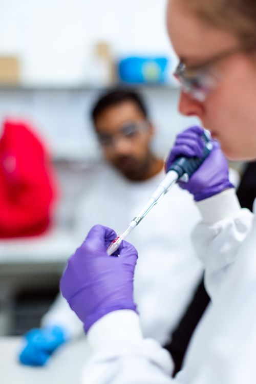 AI screening accelerates plant-protein emulsifier discovery AI screening accelerates plant-protein emulsifier discovery