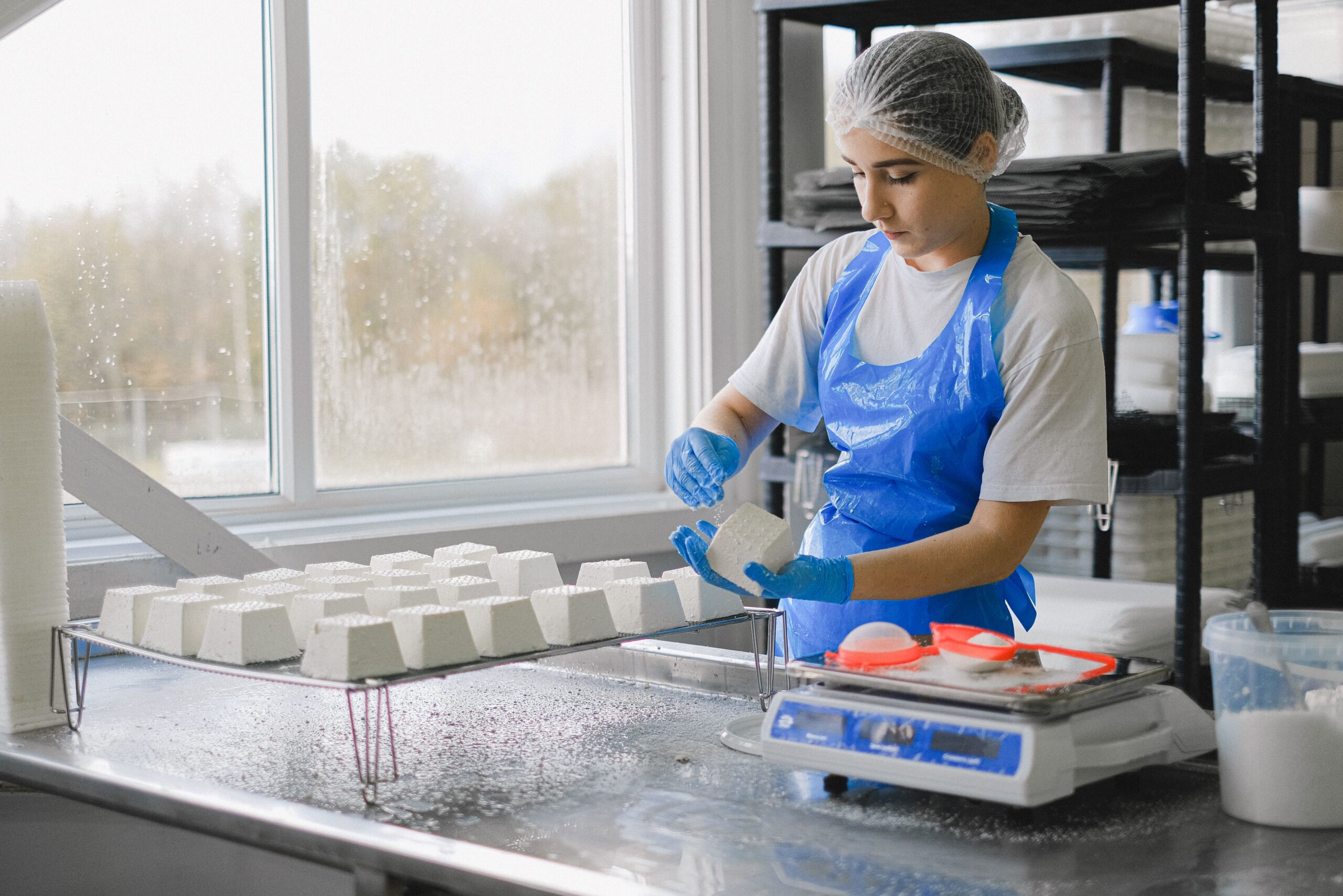 Moldova starts meat and dairy plant modernisation