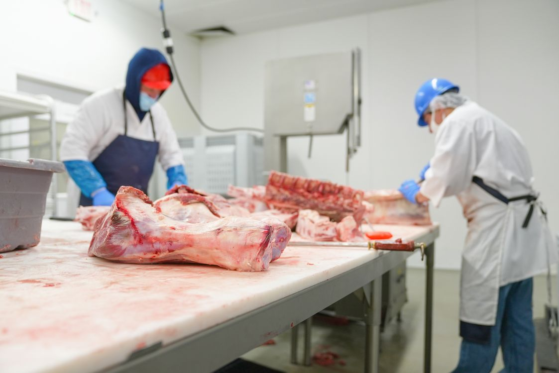 Construction starts on £24m Scottish beef plant Construction starts on £24m Scottish beef plant