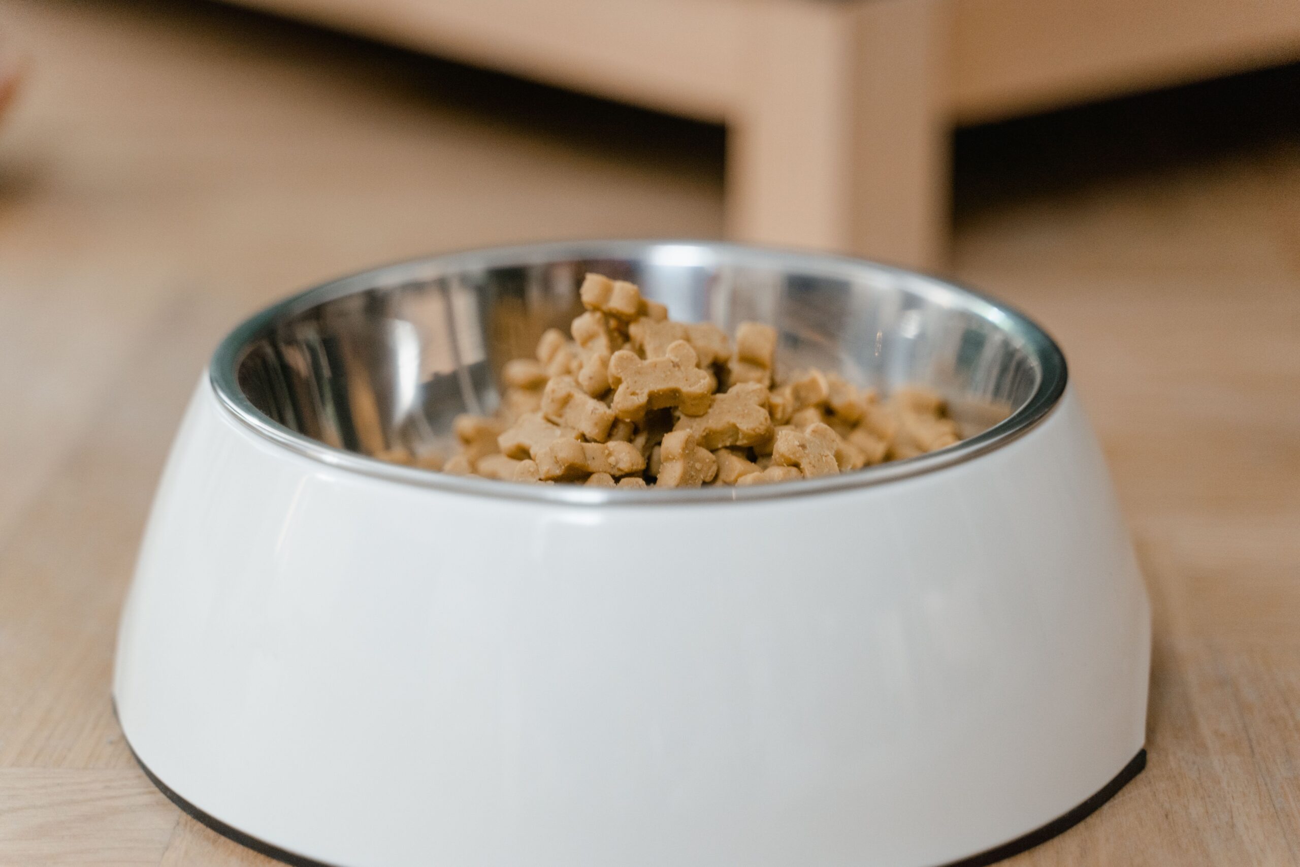 Amcor launches inverted wet pet-food cup