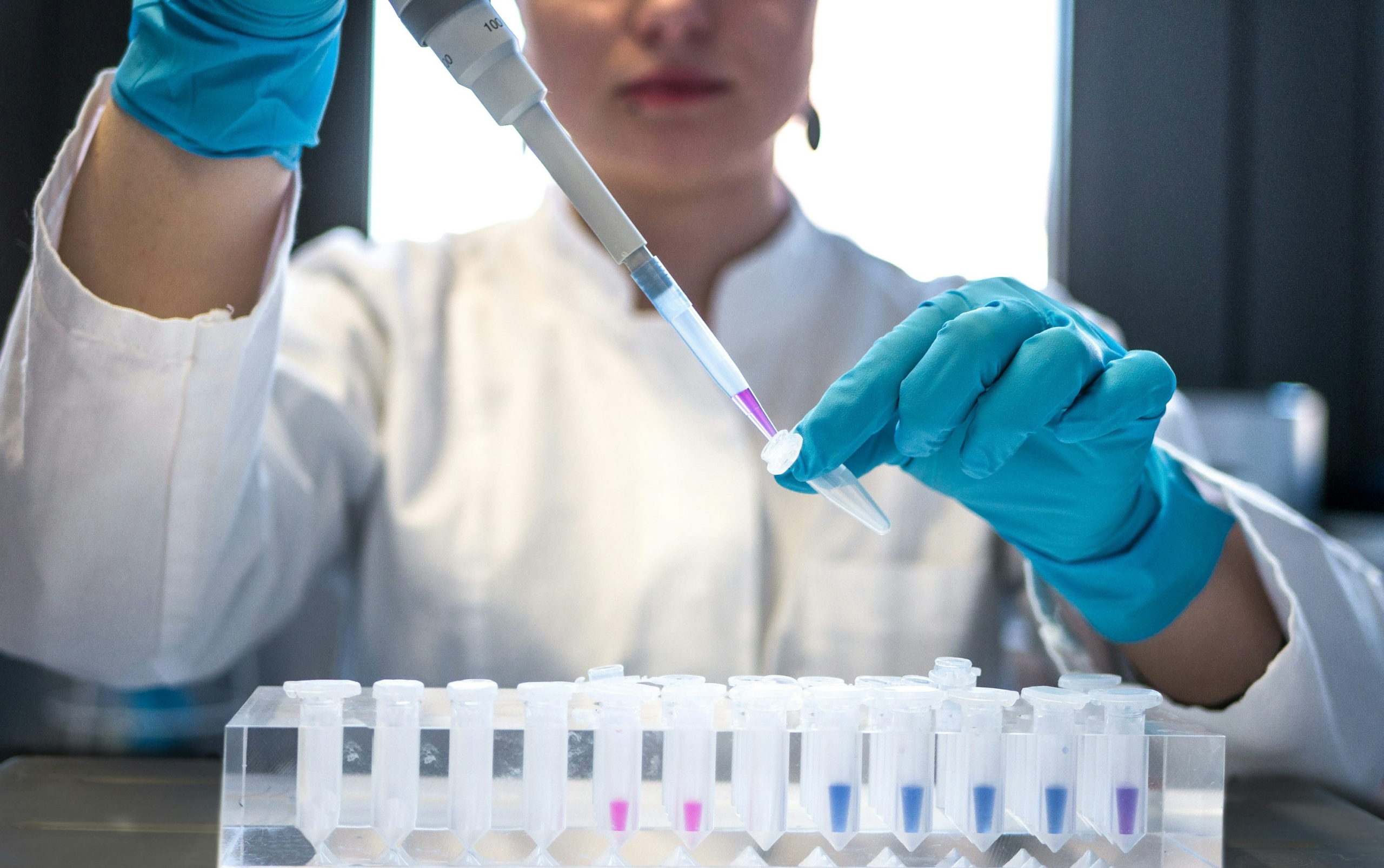 Mars selects 13 ventures for food technology programme