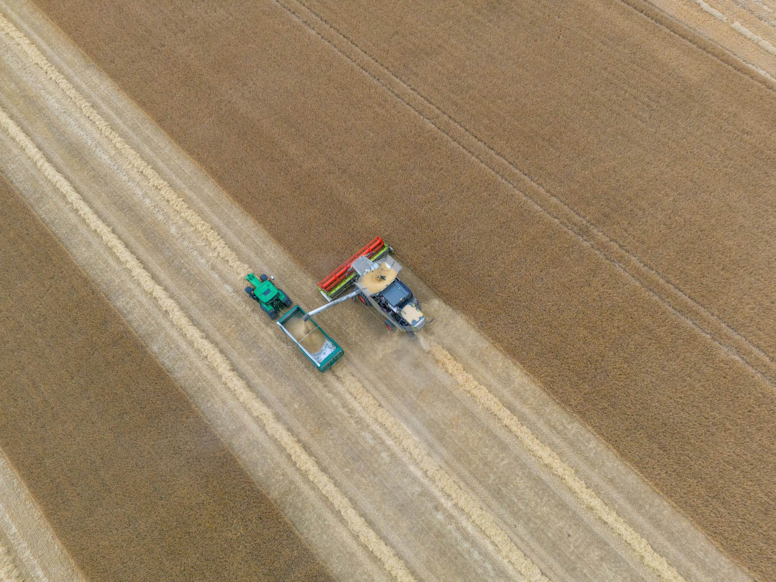 Kellogg backs regenerative wheat across UK supply Kellogg backs regenerative wheat across UK supply