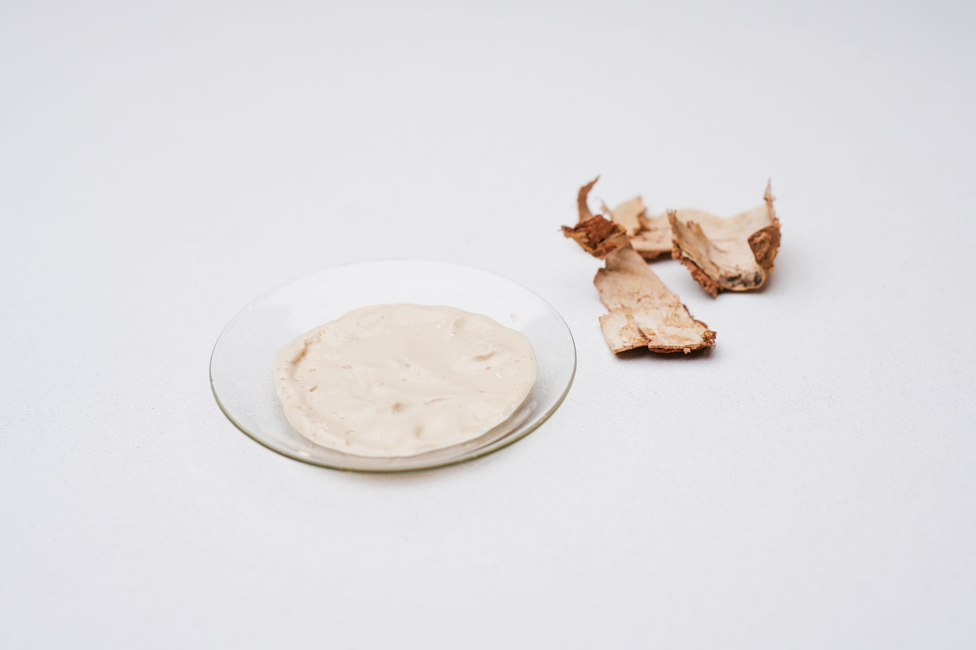 Innomost scales birch-bark barriers for food packaging
