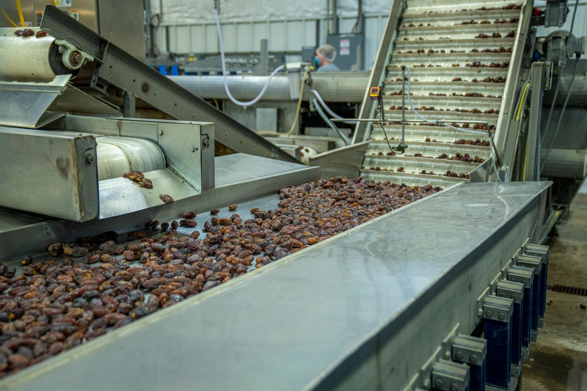 Oxipital AI adds vision-based contaminant inspection for food lines