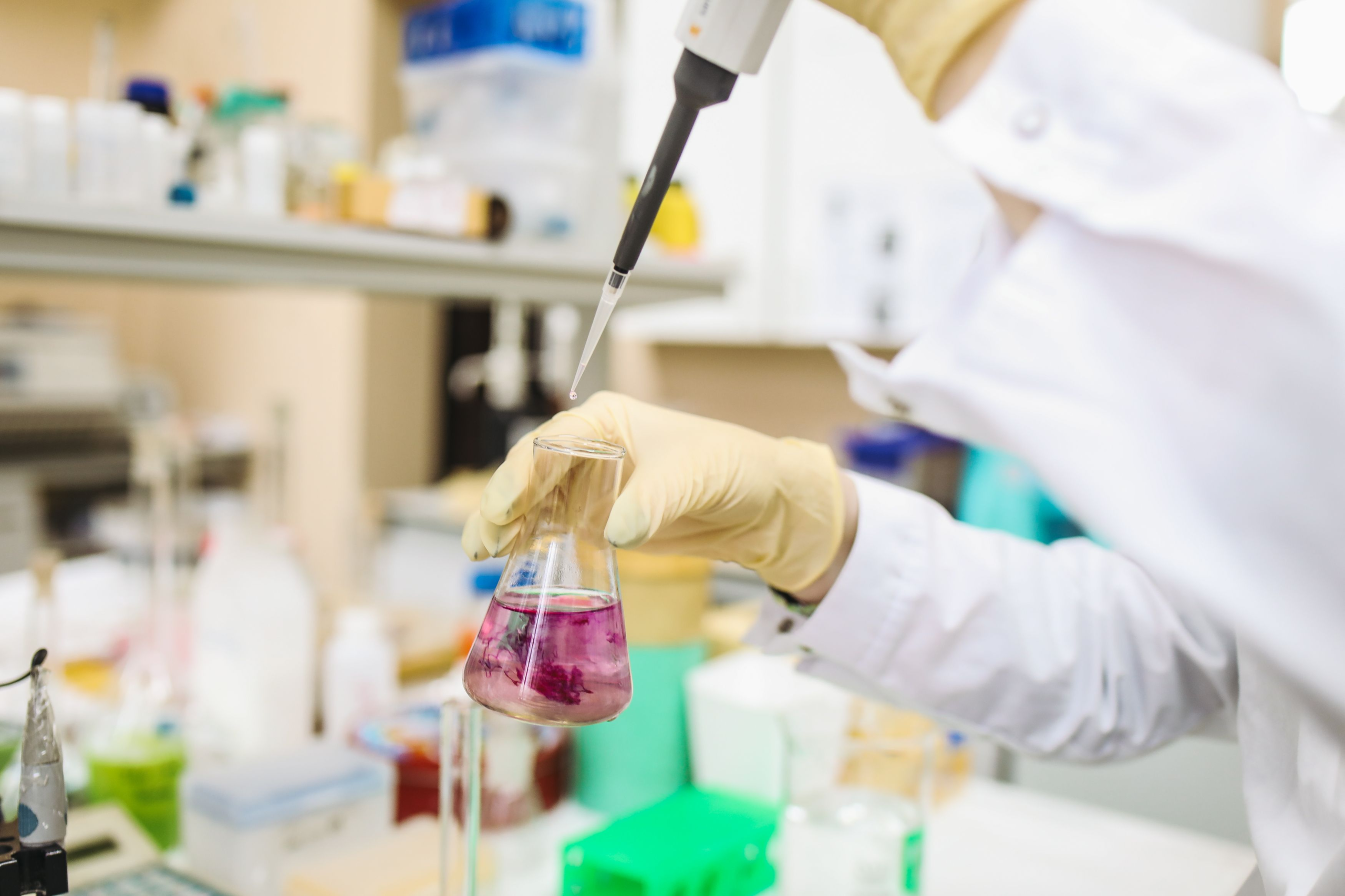EFSA finds no safety concerns for specified fungal enzyme EFSA finds no safety concerns for specified fungal enzyme