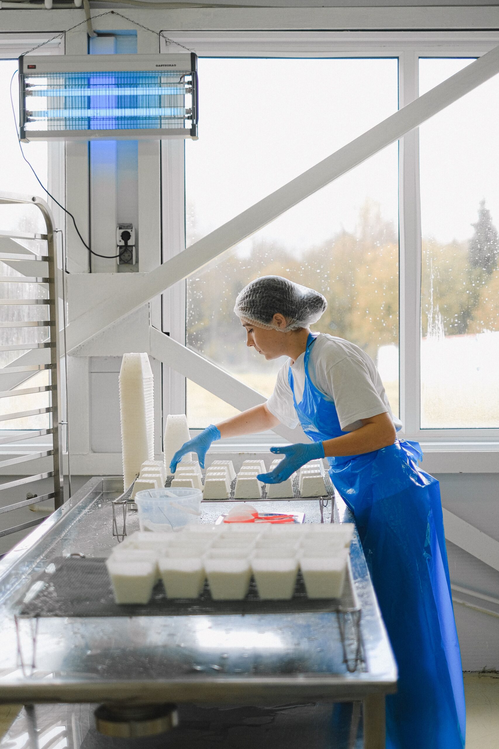 EU Council advances food and feed simplification